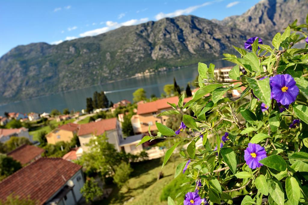 Apartments Soso Kotor Exterior photo